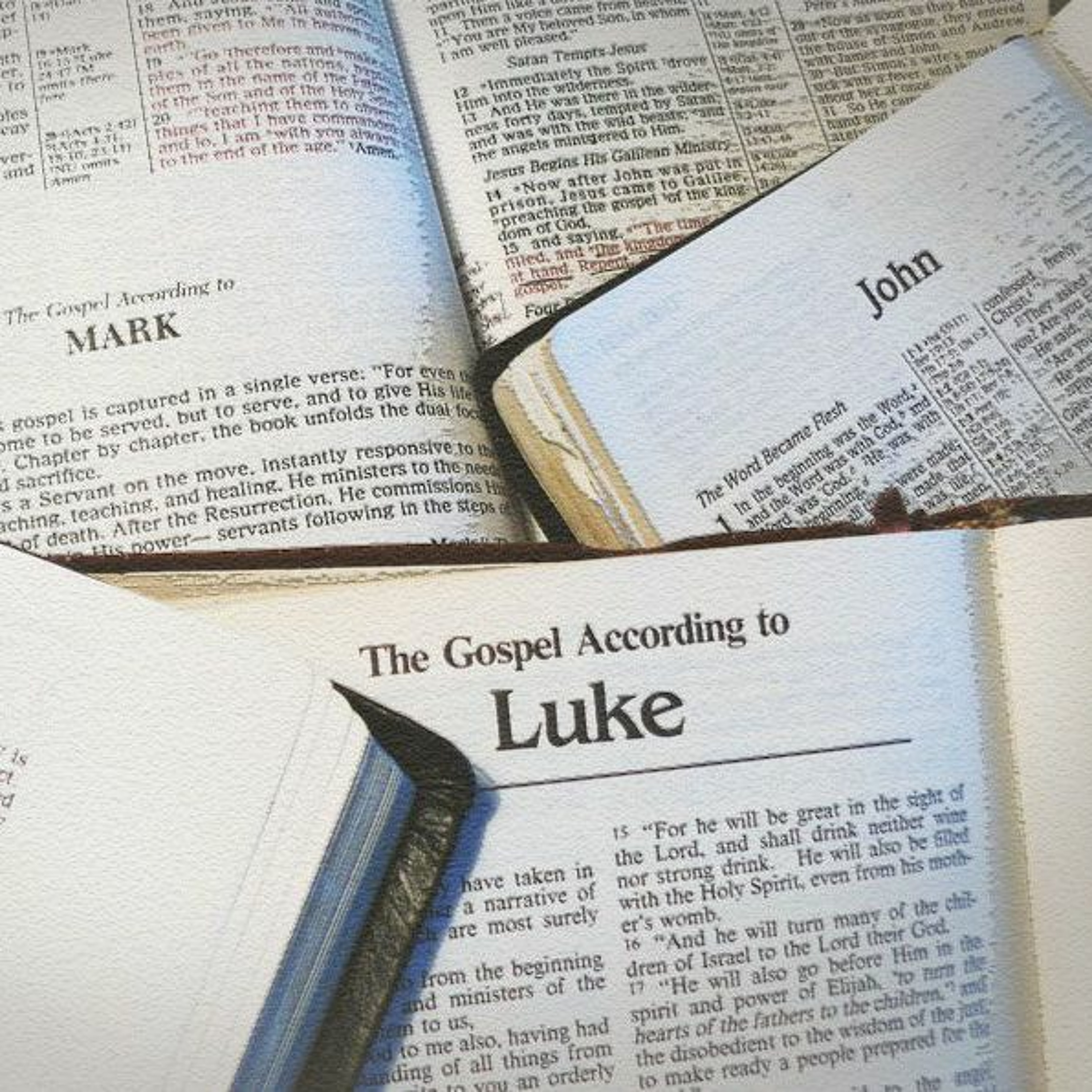 MERCYhouse University