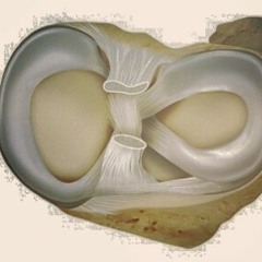 Elektro Türküler: early east songs