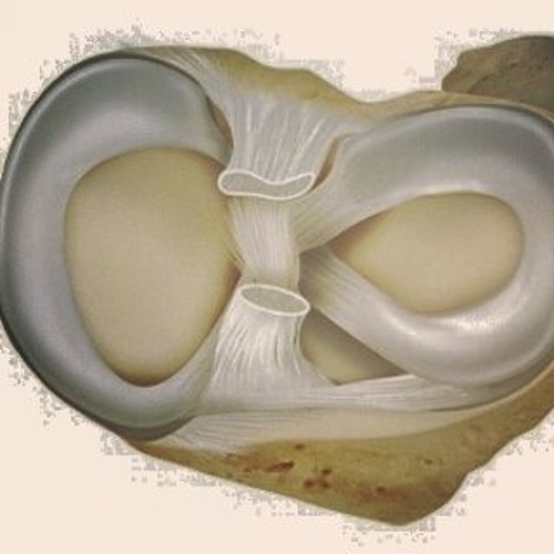 Elektro Türküler: early east songs