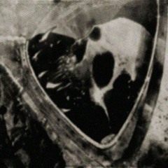 Elegy for a Lost Cosmonaut