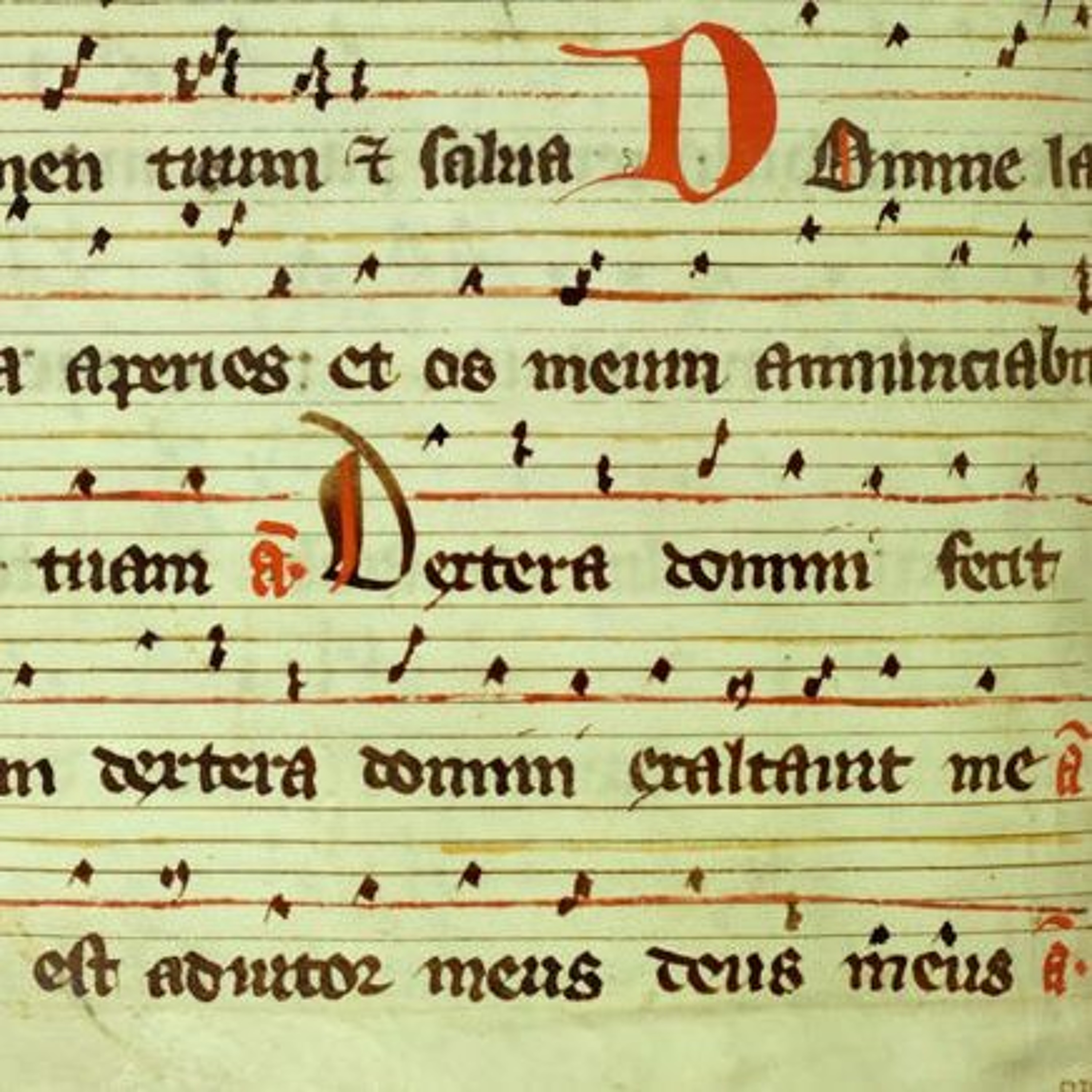 Fourth Sunday after Epiphany (2019)