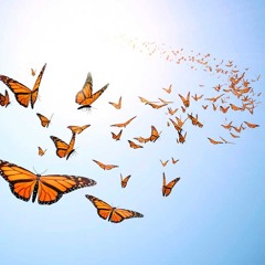 Butterflies - Jay Relf Feat. Bigga T