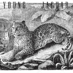 01 - Young Jaguar Theme