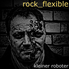 Kleiner Roboter - Rock Flexible