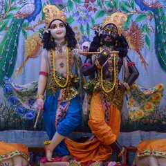 Yogindra Das 11.8.18 SPH