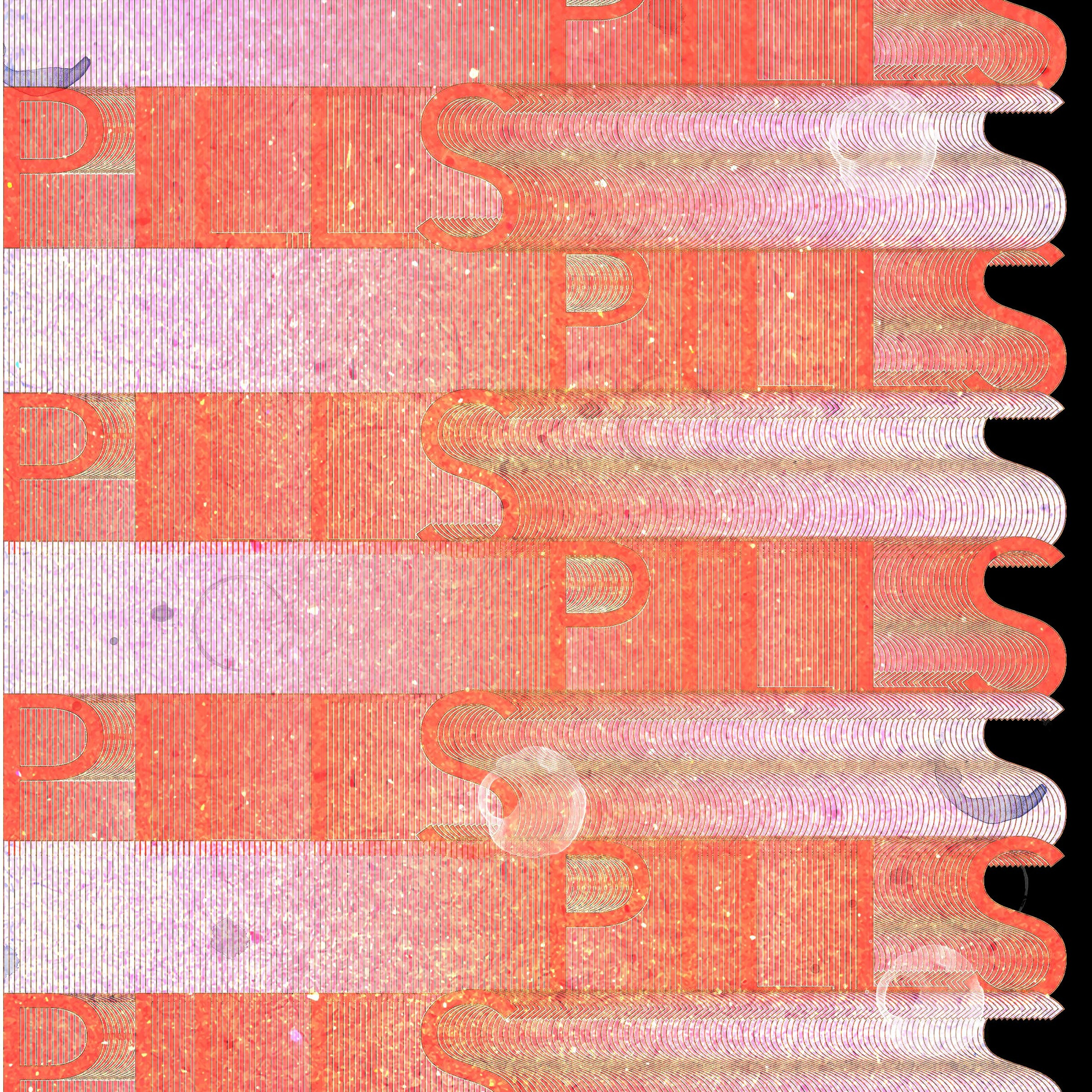 PoHuBe