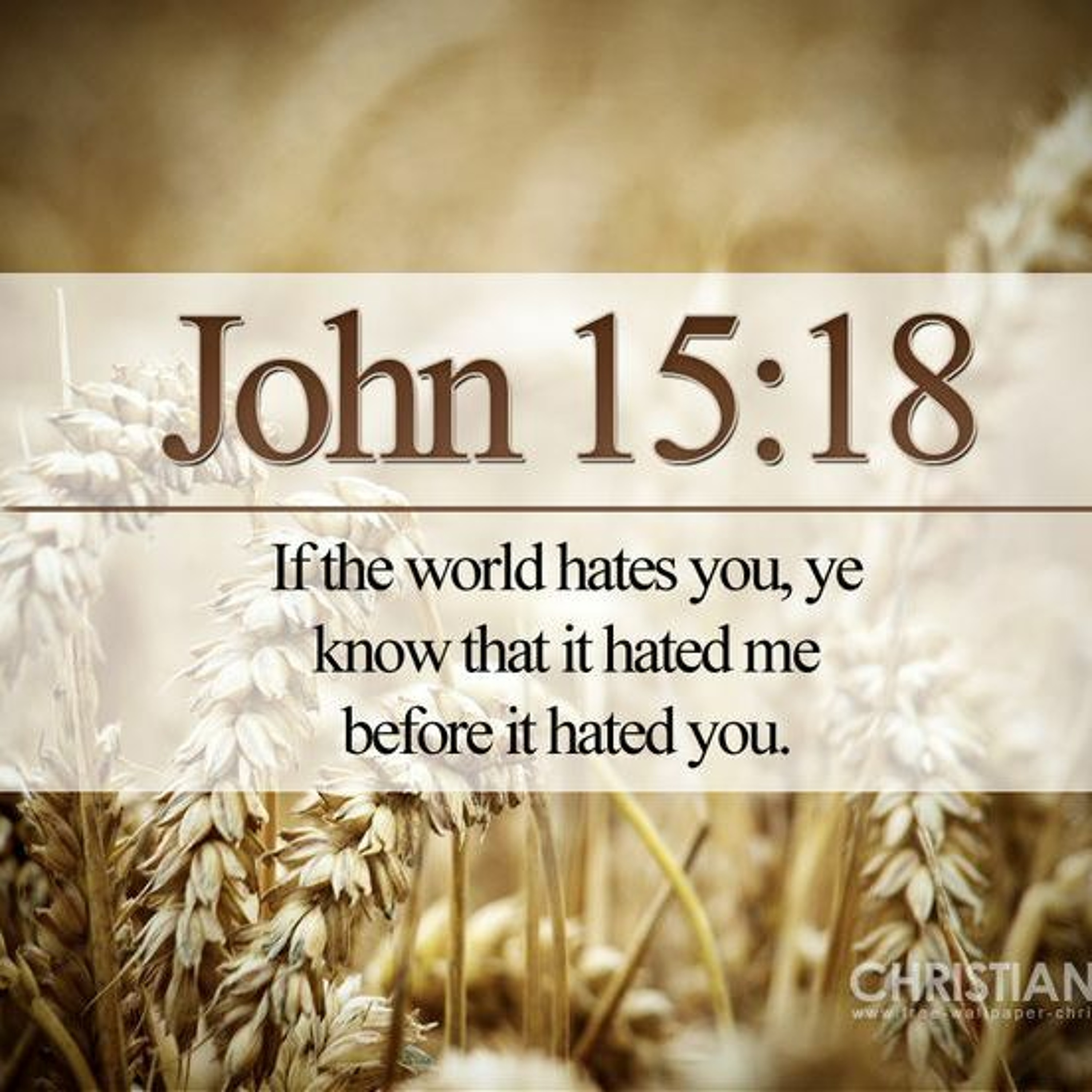 John 15.18 - 16.4a The World Will Hate You - -Hurricane Creek episode artwork