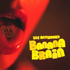 Die Antwoord - Banana Brain (LSDj Cover)