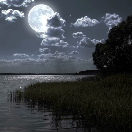 All Through The Night
