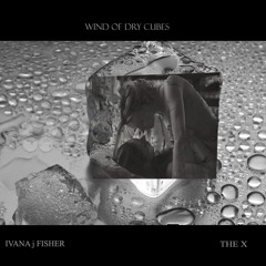 Wind Of Dry Cubes