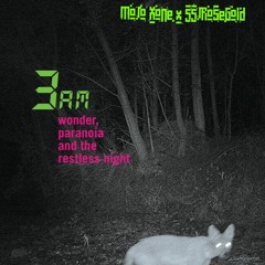 3 A.M.  Ft SSJRoseGold Prod.Seismic