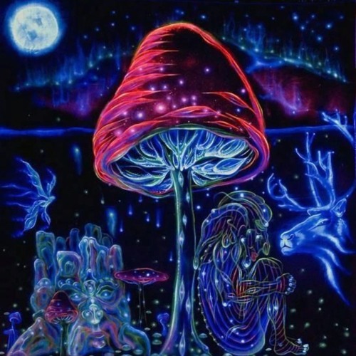 Insane In My Brain. Twillight. PsyTrance mix by Liora (150-148bpm)