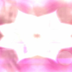 Funky Gnomie Sampler (Unsigned)