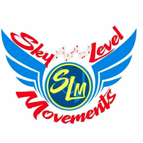 SKY LEVEL MOVEMENT'S  Souls Best Off 2000s