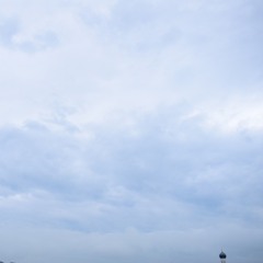 Bär - Knuckles- Kitchen Flava X Bitter Grau