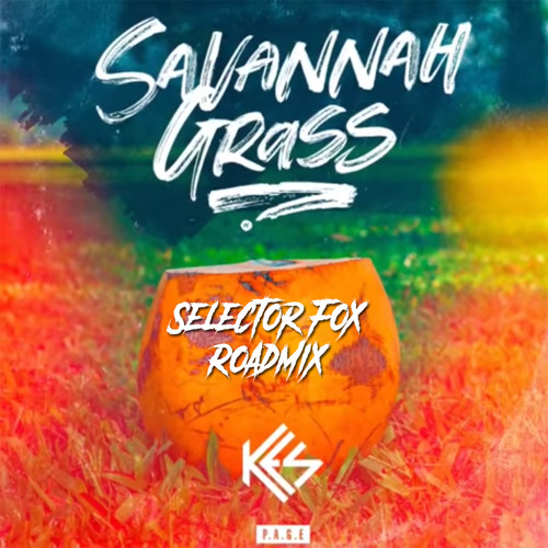 Kes - Savannah Grass (Selector Fox RoadMix Edit)