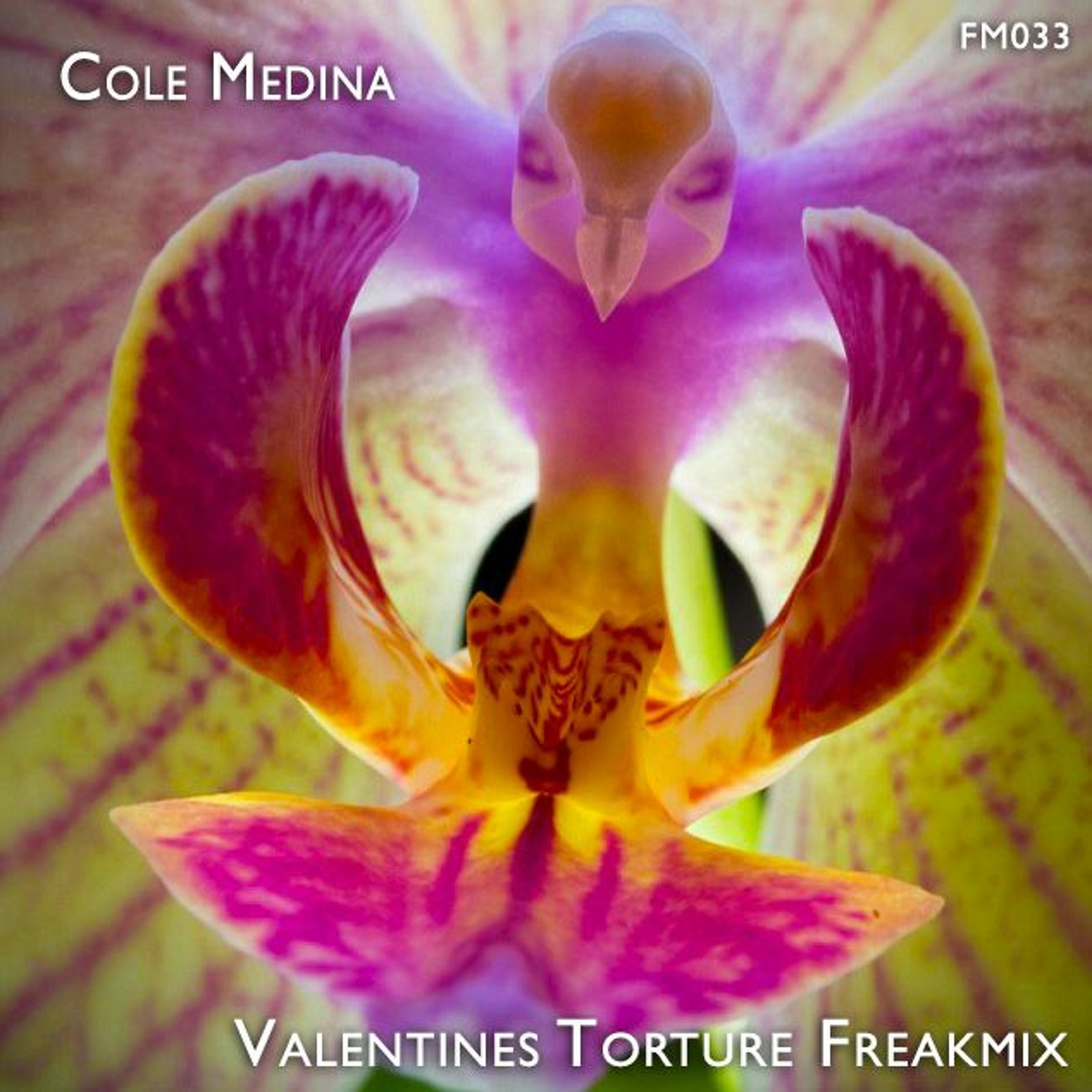 Cole Medina aka STōND_LōK