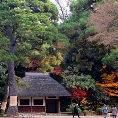 Autumn In Tokyo