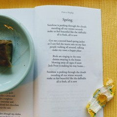 mlog-feb2-Spring