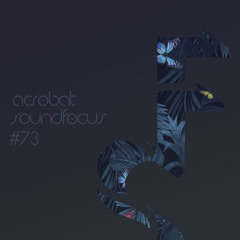 Acrobat | SoundFocus 073 | Jan 2019