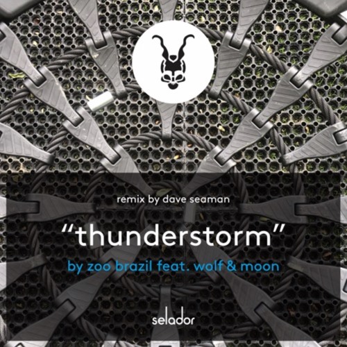 PREMIERE: Zoo Brazil  feat. Wolf and Moon - Thunderstorm (Dave Seaman Dub Remix) [Selador]