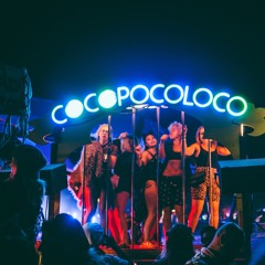 Coco Poco Loco Art Car ⁕ Rainbow Serpent Festival 2019