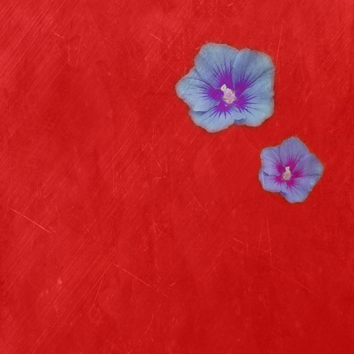 자판기(Feat. Oygli)