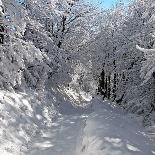 Deep Winter Vol.5 2019 (Mixed & Compiled By AnGeLo)