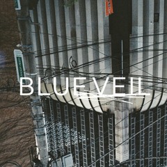 Blue Veil - Another Day (D005)