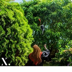 Baby's Breath - Njaanuary