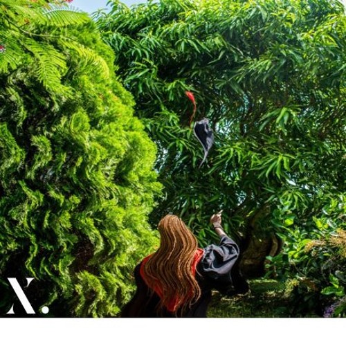 Baby's Breath - Njaanuary