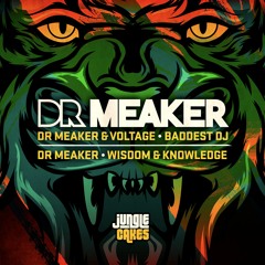 DR MEAKER & VOLTAGE - BADDEST DJ