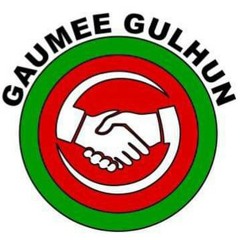 Qaumee gulhumey mee