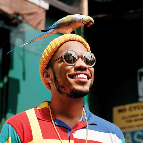 Anderson .paak - Am i wrong (DJU DJU Flip) (Soulection 437)