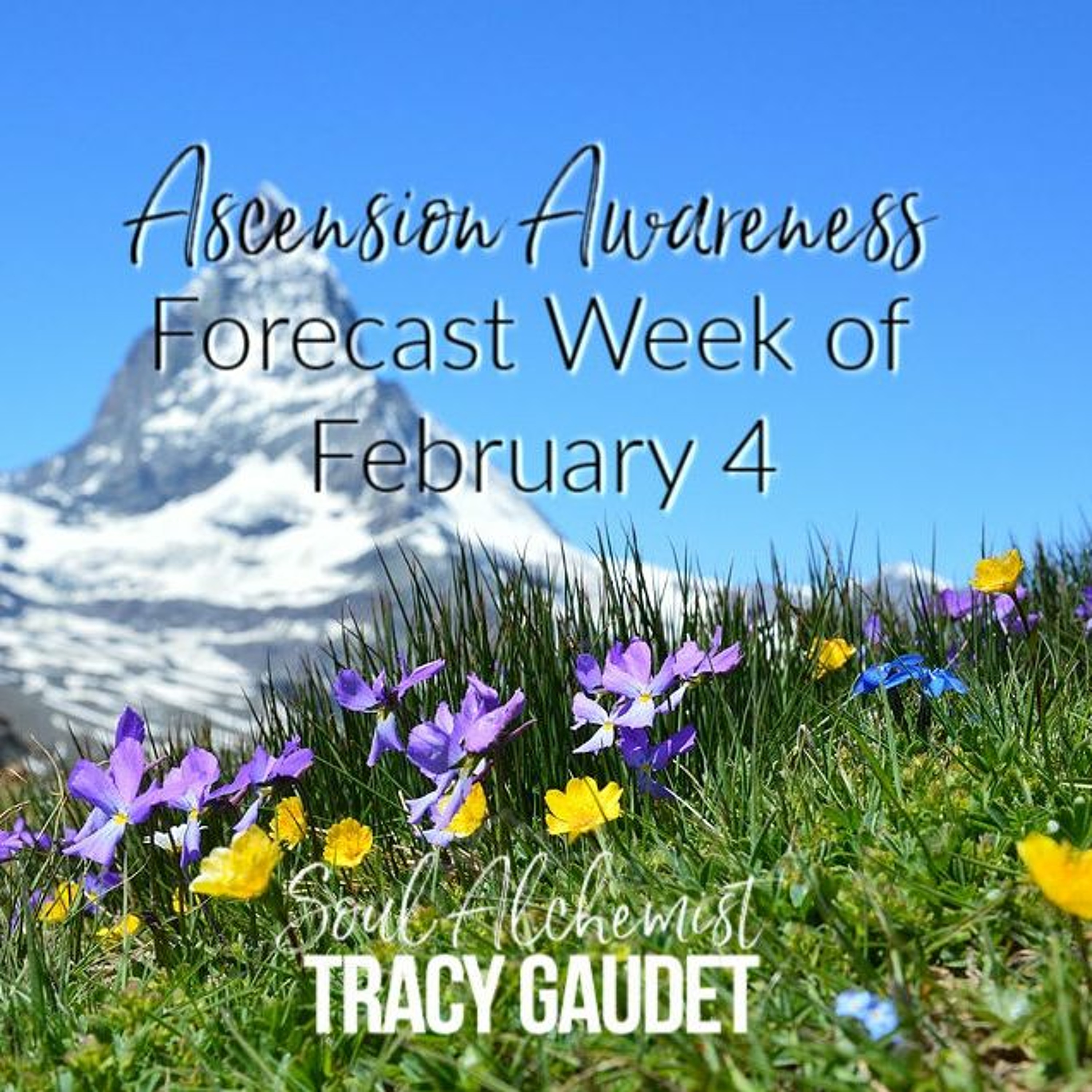 Ascension Alchemy Podcast