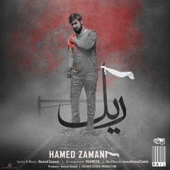Hamed Zamani - Rail