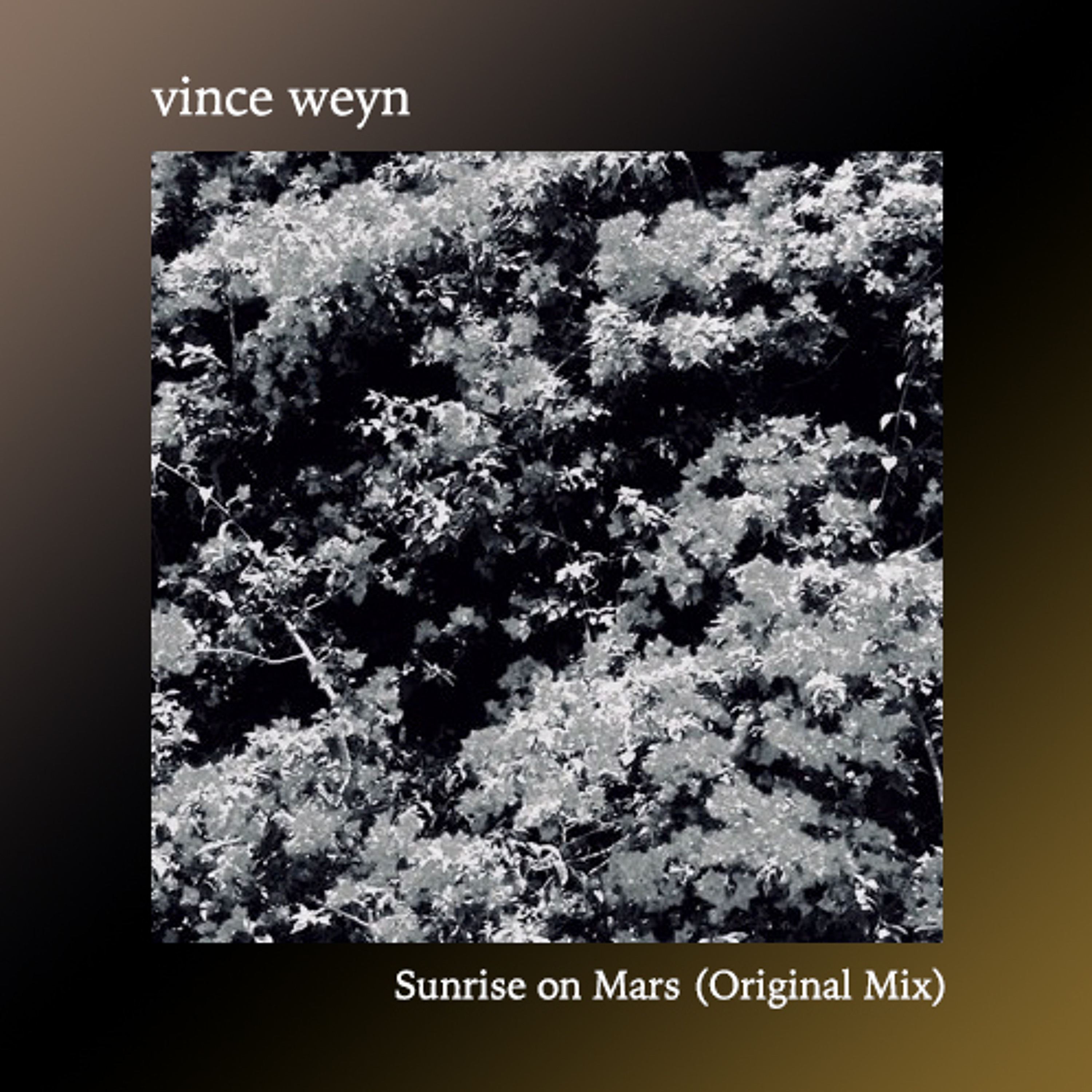 vince weyn Podcast