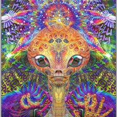 "DMT" (produced by The Psychedelic Entity)