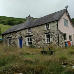 Acoustic instrumental