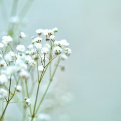 Bergsmeditation - Bli den du är