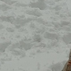 fcknsnow