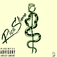Opaque instrumental [Bonus Track]