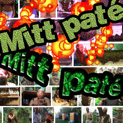 Mitt paté 32 IT'S NOT FAIR!