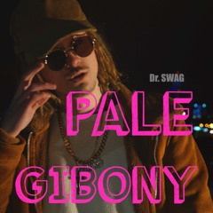 Dr. SWAG PALE GIBONY