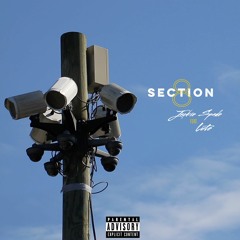 Section 8 ft. Lute