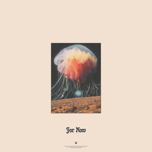 White Cliffs - For Now