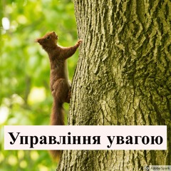 Софт скіли для програмістів: управління увагою під час розмови