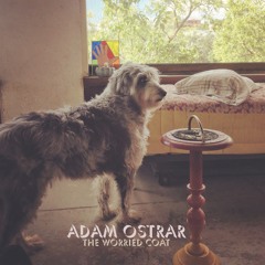 Adam Ostrar – Kansas City