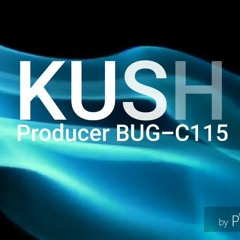 "Kush" Snoop Dogg/Dr Dre/Nate Dogg (remix) Produced by Bug-C115