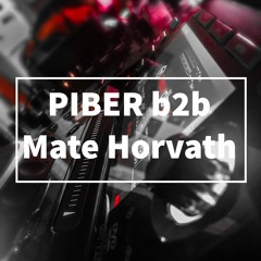 PIBER b2b Mate Horvath 2019 02 04